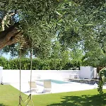 Allatorretta23 * Fasano