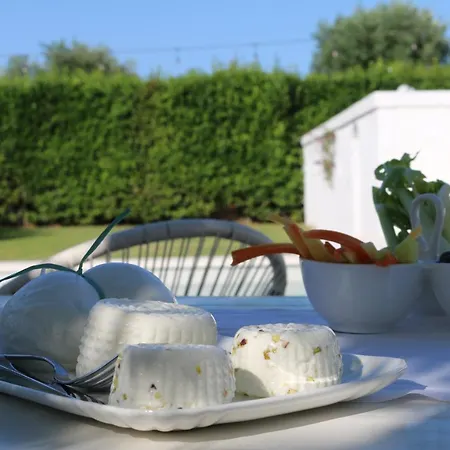 Allatorretta23 * Fasano