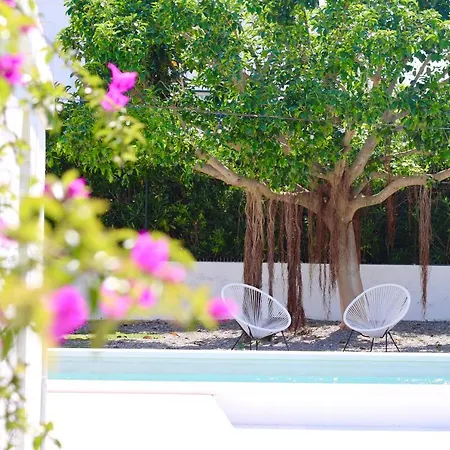 Allatorretta23 Fasano