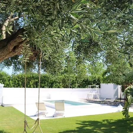 Allatorretta23 * Fasano