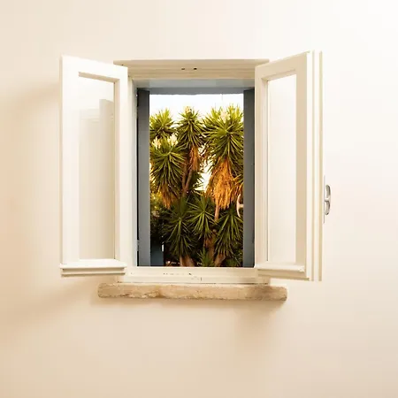 Allatorretta23 * Fasano