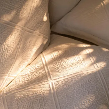 Allatorretta23 * Fasano